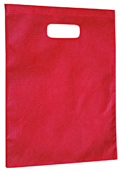 NonWoven-Gift-Bag-Large